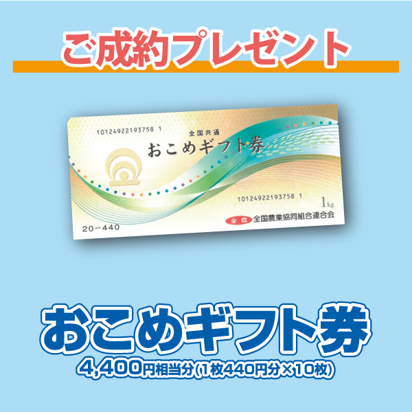 お米ギフト